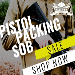Pistol Brace Sale